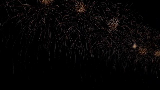 まったりメダ活DAYの記事動画