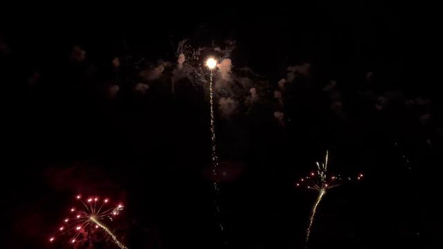 まったりメダ活DAYの記事動画