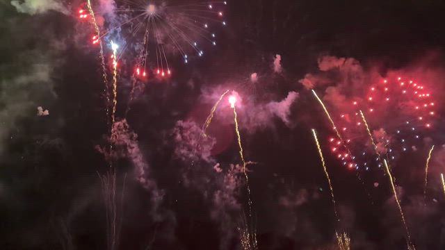 まったりメダ活DAYの記事動画