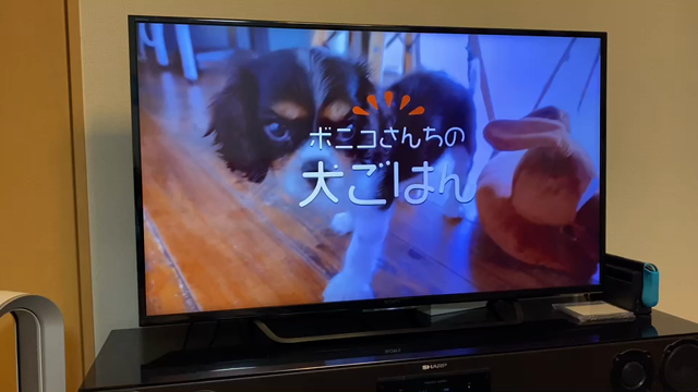 テレビ画面には強気ですの記事動画