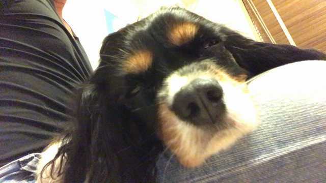 いびきが…の記事動画