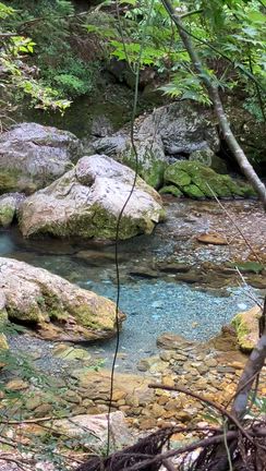 「光木」を見に行きました　その２の記事動画