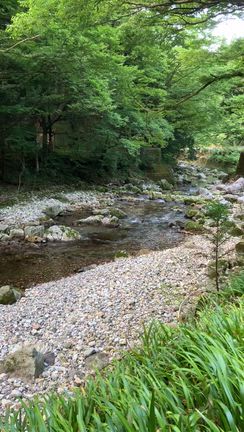 「光木」を見に行きました　その２の記事動画