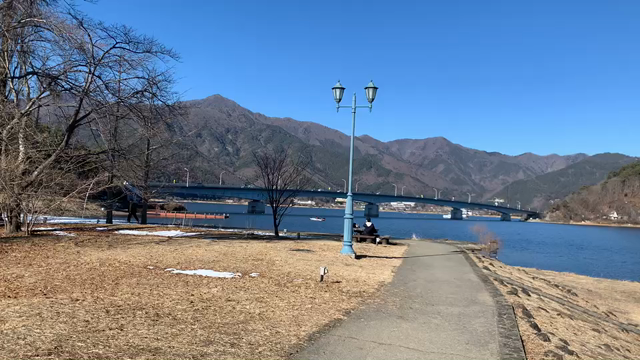 愛犬と河口湖へお出かけの記事動画
