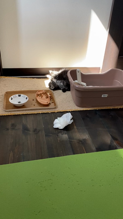 なんと我が家にの記事動画