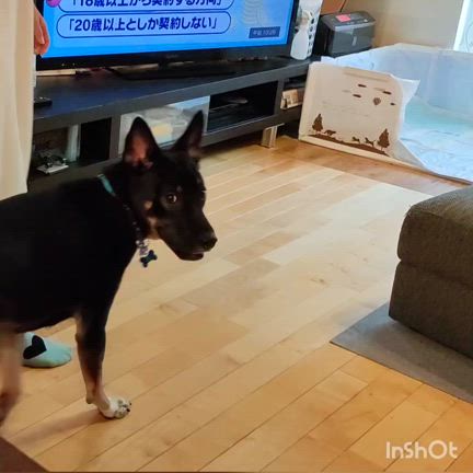 【御愛顧感謝】夏季限定 -ヒミツの無料相談-の記事動画