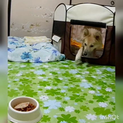 ビビりだからこそ出逢えたんだの記事動画