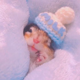 楽天セールで買っちゃった♡♡の画像