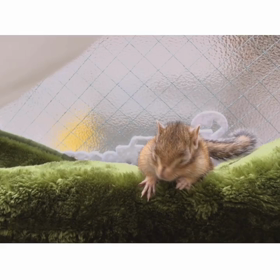 かわいいおねだり♡の画像