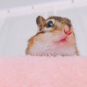 お口から出ちゃったよぉ〜♡♡の画像