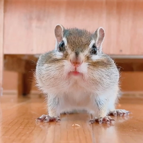 はじめまして♡の画像