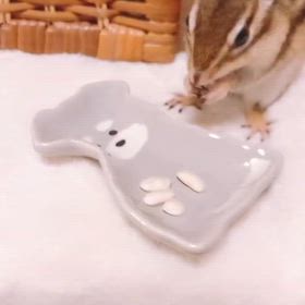 2025/12/06の画像