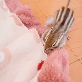 2025/09/23の画像