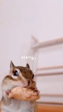 くぅちゃんおやつタイムの記事動画