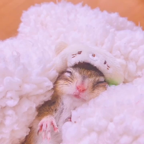 ももたん必死に考える♡♡の画像