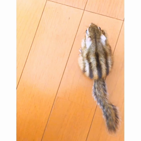 魅惑のマシュマロボディ♡♡の画像