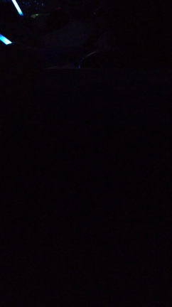ポールマッカートニー   コンサート  omakeの記事動画