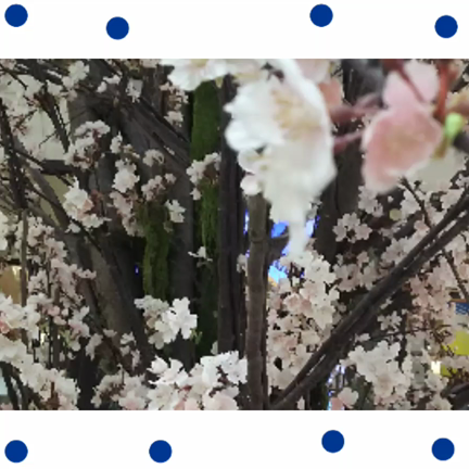 桜前線は関東の山への記事動画