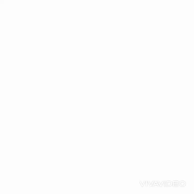 アバンチュリエ勝利の画像