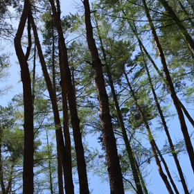 以前と少し変わった感覚の画像