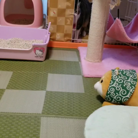 いつもの休日が一番幸せ♪の画像