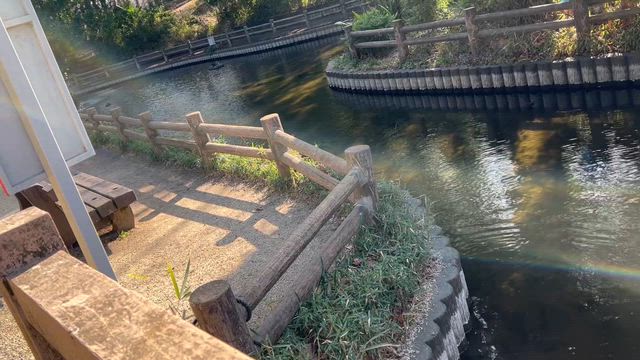 ３月の与野公園の記事動画