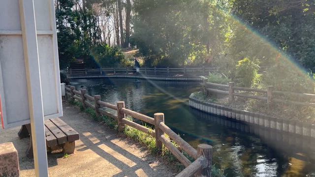 ３月の与野公園の記事動画