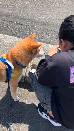 朝ごはん、体重記録、今日もお休み−の記事動画
