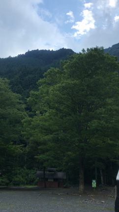 夏の日〜ひぐらしの鳴き声の記事動画