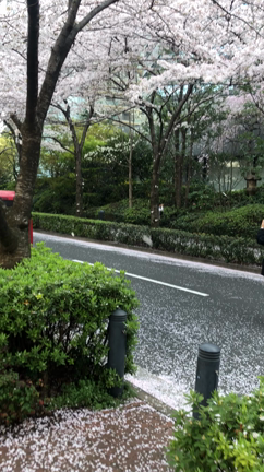 前に進み続ける日々の記事動画