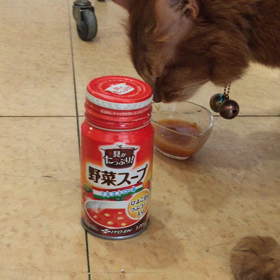ハマってますの画像
