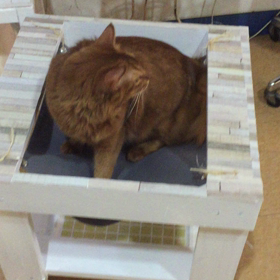 やっとの画像