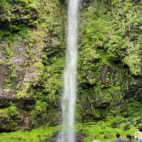日本の滝100選【阿弥陀ケ滝】の画像