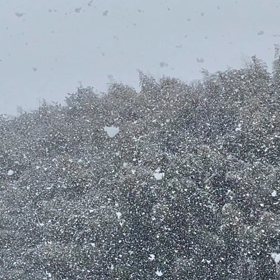 雪の画像