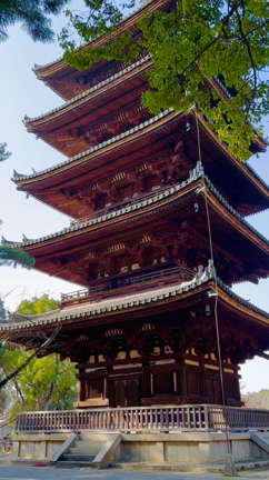 京都紅葉の旅　後編の記事動画