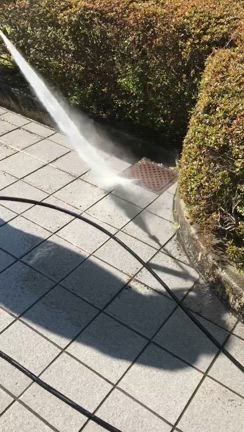 【清掃＝入居率アップ】マンション管理のカギは“共用部の美観”にあり｜11月定期清掃受付中の記事動画