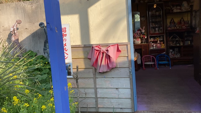 まぼろし博覧会の記事動画