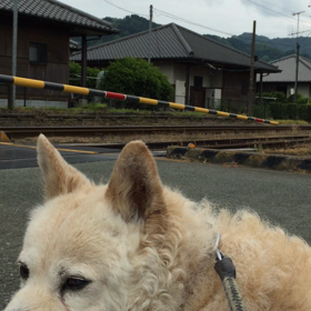 地元のもの ③の画像