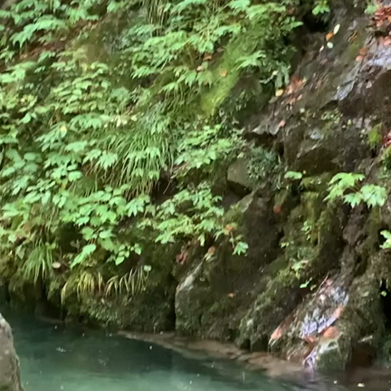 美しい秋の垢離滝へ行ってきましたの記事動画