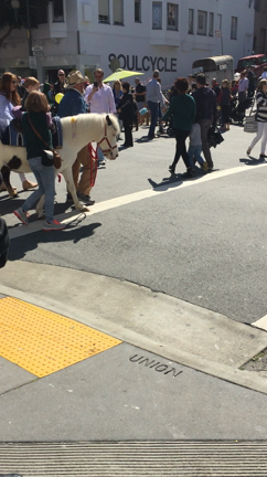 Easter in San Franciscoの記事動画
