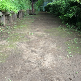 本日のクローリー選手の画像
