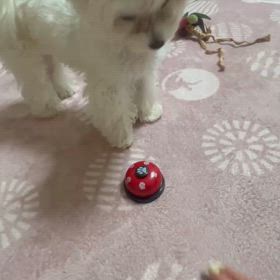 ついに！の画像