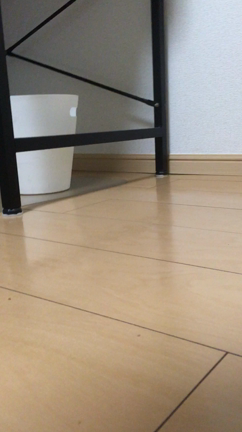 KONGの記事動画
