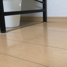 KONGの画像