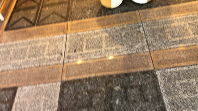 ９月２９日(土)月末ですやんの記事動画