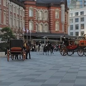 偶然出くわした！の画像