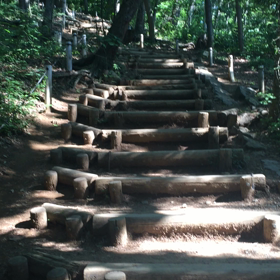 二週続けて！高尾山4の画像