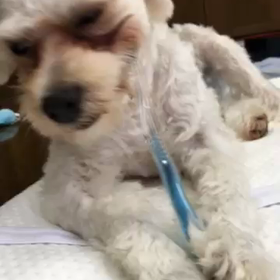 上手になりましたーの画像