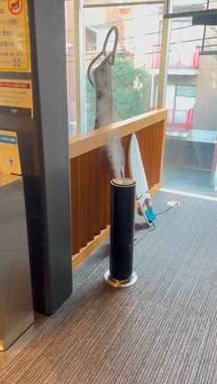 加湿器で快適トレーニングの記事動画