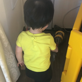 【1y4m17d 】掃除機の画像